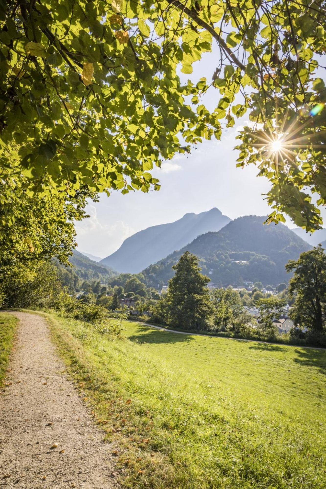 Malerhaus Ferienwohnungen Bad Reichenhall Dış mekan fotoğraf